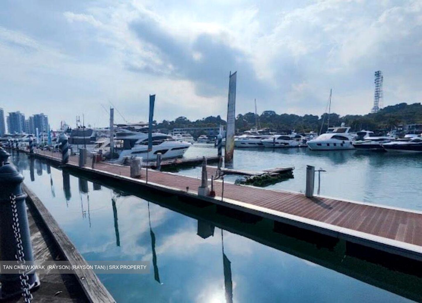 The Oceanfront @ Sentosa Cove (D4), Condominium #520840131
